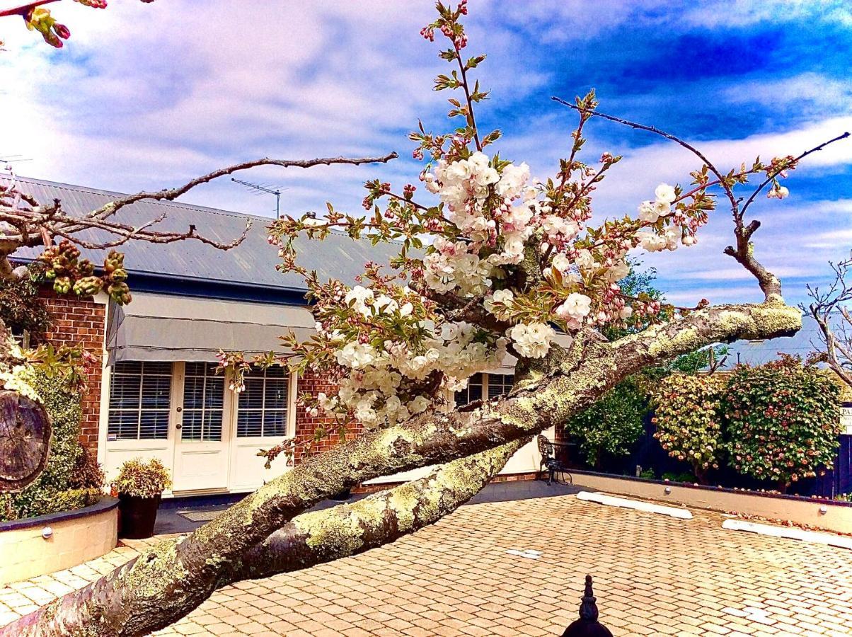 Bed and Breakfast Kurrajong House Launceston Esterno foto